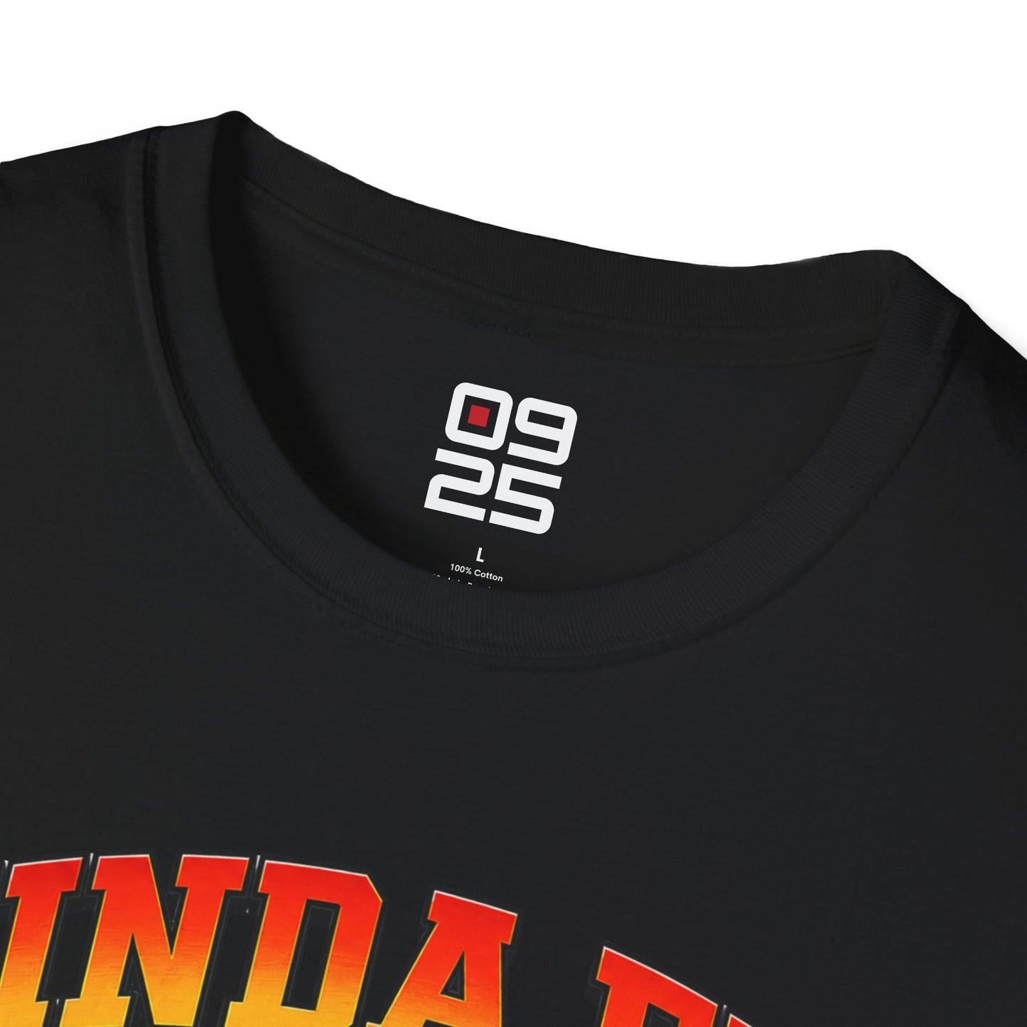 "Kinda Fit, Sorta Fat" T-shirt