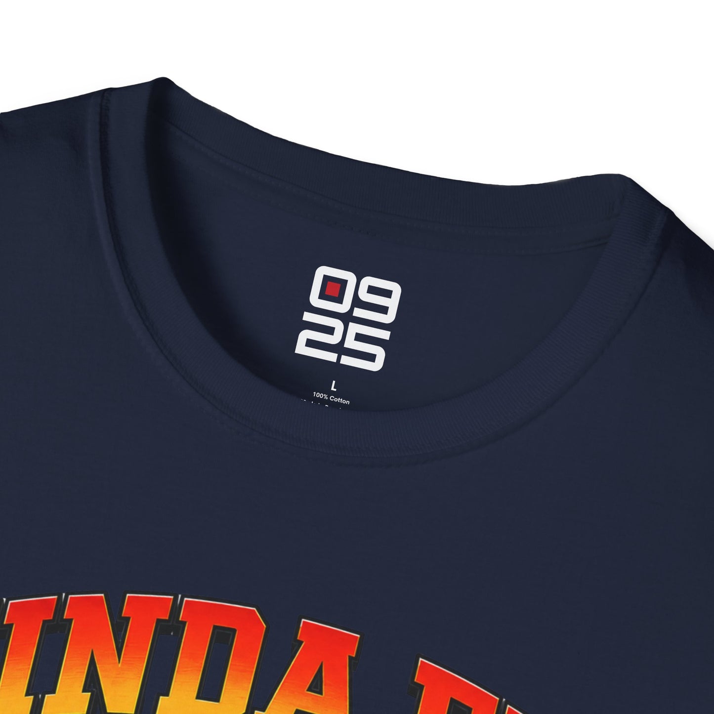 "Kinda Fit, Sorta Fat" T-shirt