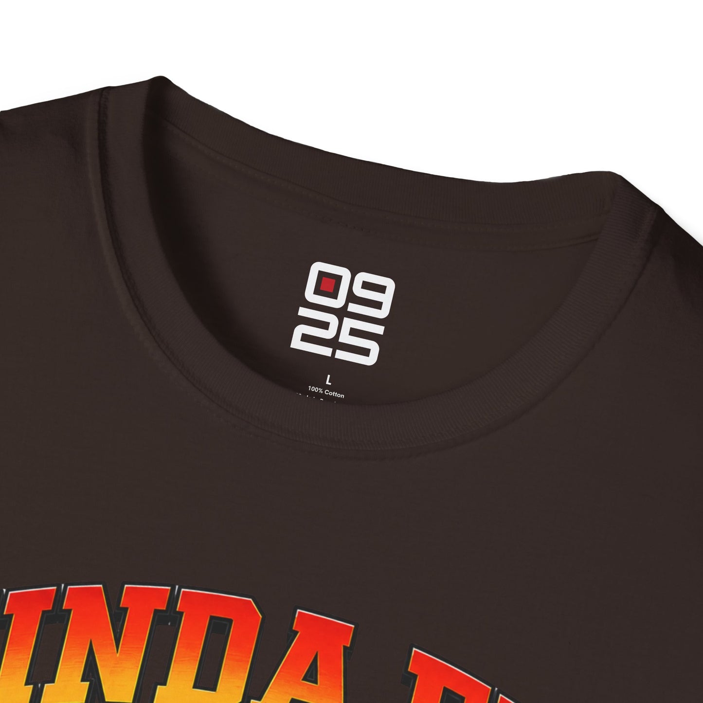 "Kinda Fit, Sorta Fat" T-shirt