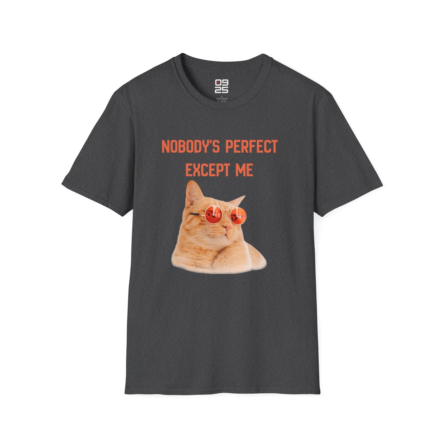 "Nobody Is Perfect" T-shirt
